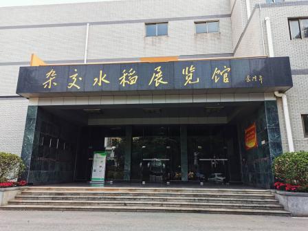 杂交水稻展览馆-"今儿个和袁隆平爷爷离的有点近.讲解员在不.