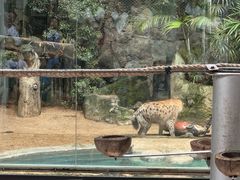 -清迈夜间动物园