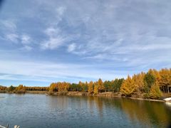 -塞罕坝国家级自然保护区