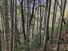 -五泄景区