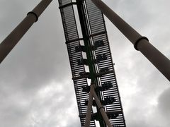 -鹦鹉过山车