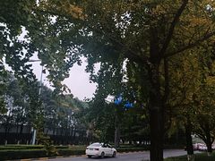 -贵州省地质博物馆