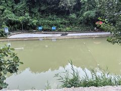 -怀北漂流