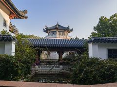 -广东花都湖国家湿地公园