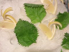 -旺顺阁海鲜广场(亚运村店)