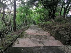 -分塔山省级森林公园