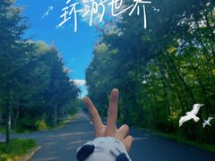 -汤旺河林海奇石景区
