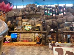 -卡通尼·Safari非洲探索乐园·生日会(金桥国际商业广场店)