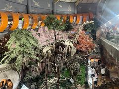 -河南自然博物馆