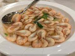 太湖白虾-太湖饭店·寄畅轩中餐厅