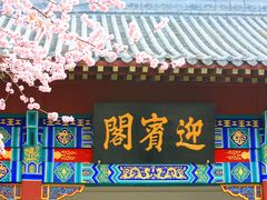 -桃花堤公园