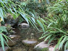 -青城道汤池