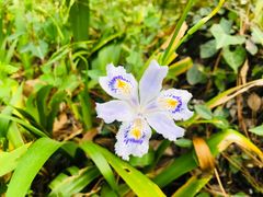 -苏州上方山国家森林公园