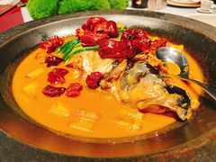 段氏绝味鱼头-柿合缘新京菜(国金中心商场店)