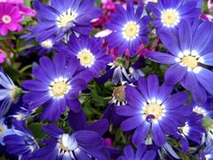 -重庆动物园·东二门售票处