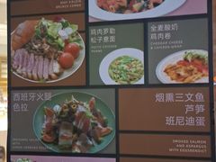 -WHEN PIGS FLY当猪飞
