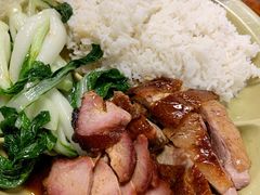 叉鹅饭-下村新强记烧鹅店