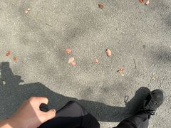 -合肥野生动物园