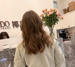 -YESIDO椰岛造型