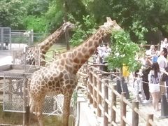 -西安秦岭野生动物园