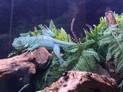 -Zoolung Zoolung动物主题公园(海信广场店)