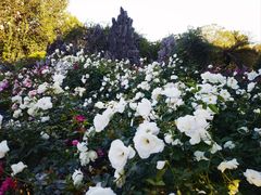 -人民公园(罗湖区)