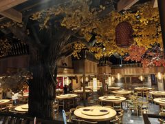-老凯俚酸汤鱼(多彩城店)