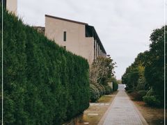 -上海崇明金茂凯悦酒店