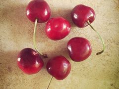 iphone_upload_pic-鸿港海鲜批发市场