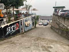 -南山植物园
