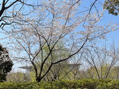 -上海第二工业大学(金海路校区)