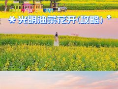 -光明小镇欢乐田园