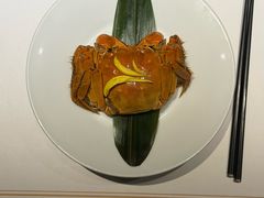 -觀芷隐轩