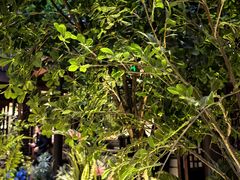 -狮王府淮扬菜(夫子庙老门东店)