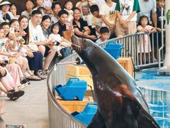 -海合安成都极地海洋公园