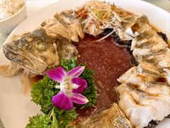 -博雅渔港·融合菜(维也纳国际大酒店)