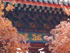 -香山公园