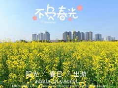 -光明小镇欢乐田园