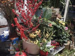 -FEI FEI FLOWER鲜花店·气球派对·宝宝宴布置(虹口德必运动Loft店)
