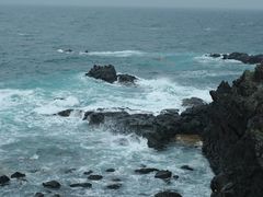 -涉地可支