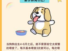 -翊宠yipet猫狗购宠庄园犬舍•猫舍