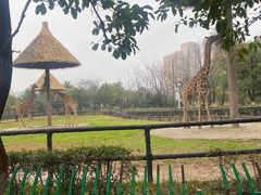 -南昌动物园