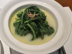 -觀芷隐轩
