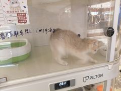 -金鹰国际购物中心(江都店)