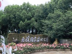 -西溪国家湿地公园