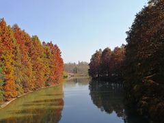 -上海海湾国家森林公园