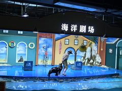 -重庆欢乐海底世界