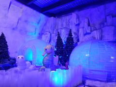 -石林冰雪海洋世界