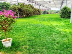 -廊坊文化艺术中心