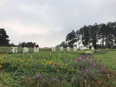 -保利石象湖景区